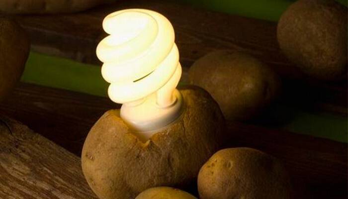 Φοβερό Κόλπο: Δείτε ΠΩΣ με μία μόνο Πατάτα θα έχετε ΔΩΡΕΑΝ Φως στο δωμάτιο σας, για πάνω από 1 Μήνα!