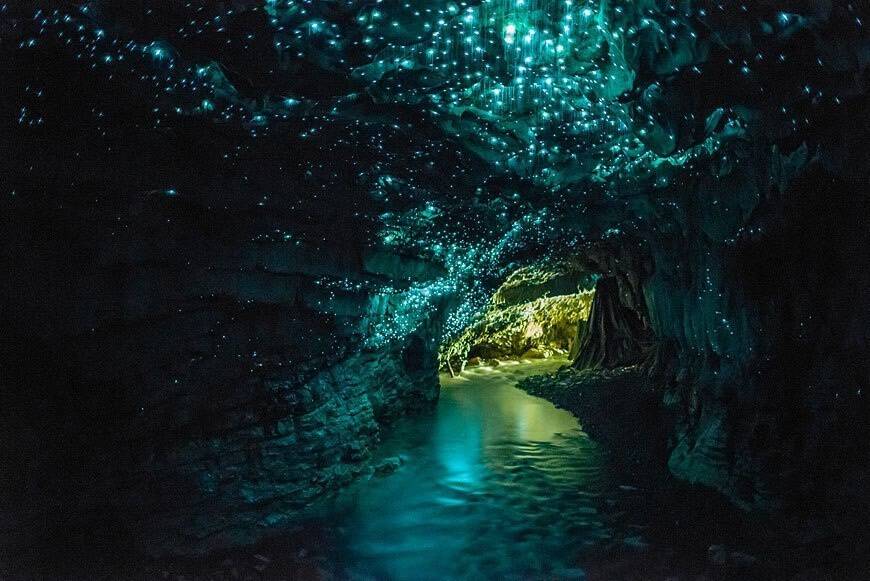 In the Waitomo Caves of New Zealand, you can explore a spectacular roof filled with luminescent glow-worms that are native to the area.