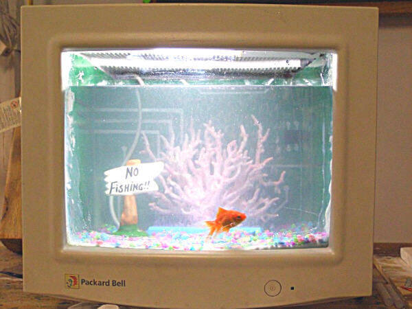 Create a fish tank out of an old computer monitor. 