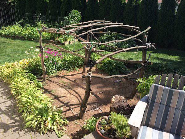 Δημιουργικός μπαμπάς μετέτρεψε ένα άρρωστο δέντρο σε παραμυθένιο κήπο για την κόρη του (9)