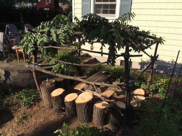Δημιουργικός μπαμπάς μετέτρεψε ένα άρρωστο δέντρο σε παραμυθένιο κήπο για την κόρη του (14)