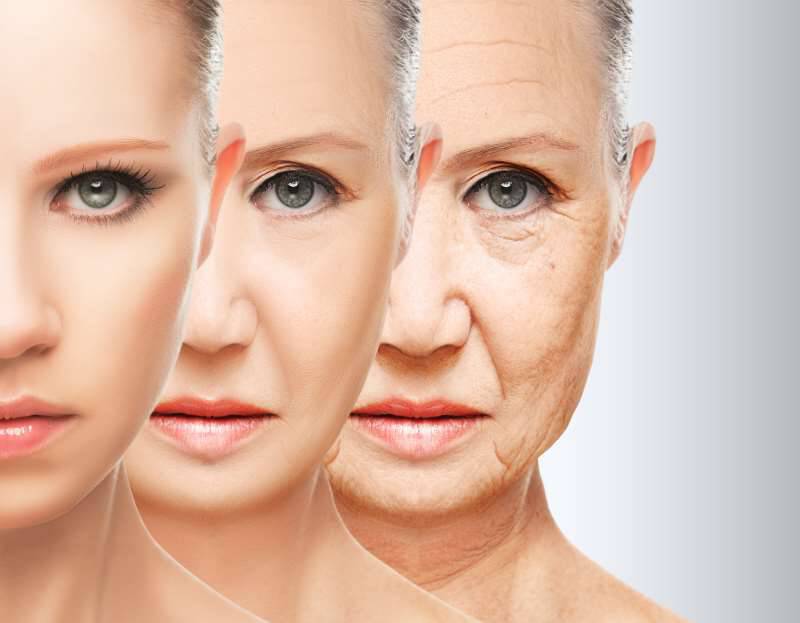 Αποτέλεσμα εικόνας για γήρανση δέρματος