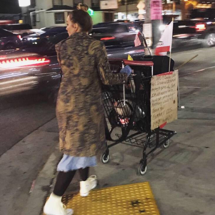 homeless-cart