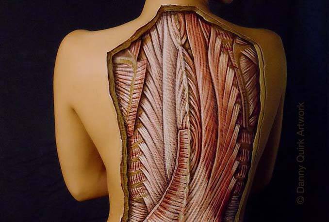 Ρεαλιστικά ανατομικά body painting αποκαλύπτουν τις δομές κάτω από το δέρμα μας (14)