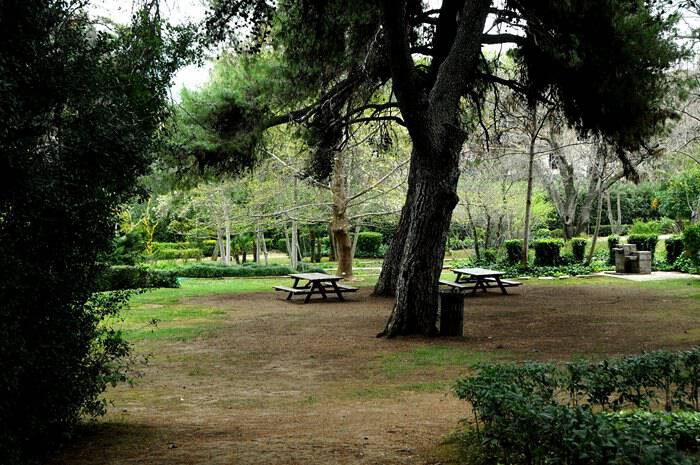 Ο μεγαλύτερος βοτανικός κήπος της ανατολικής Μεσογείου βρίσκεται στην Αθήνα. Και οι περισσότεροι δεν τον γνωρίζουν καν!