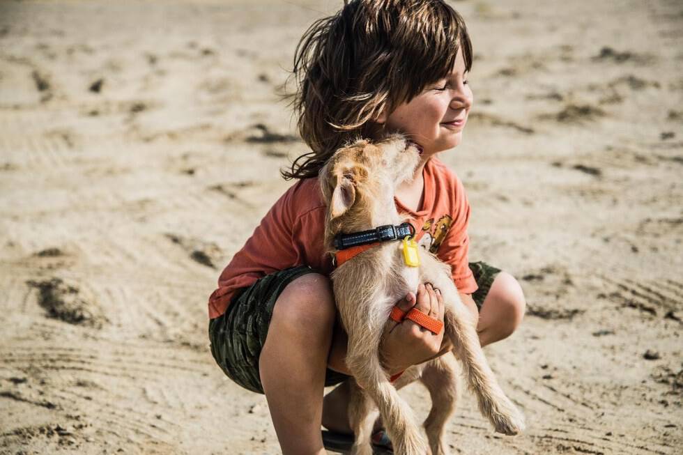 Diego Camblor of Compassion Without Borders with a dog rescued from Mexico