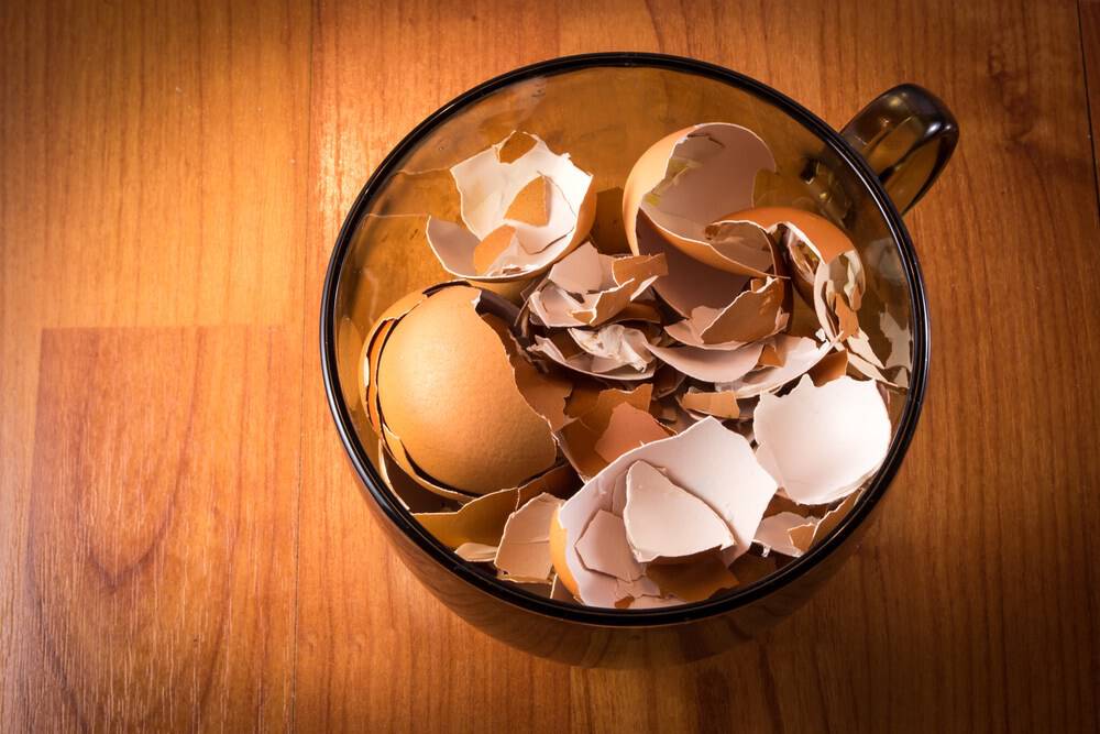 A glass cup of smashed crushed and broken eggshells on natural wood background