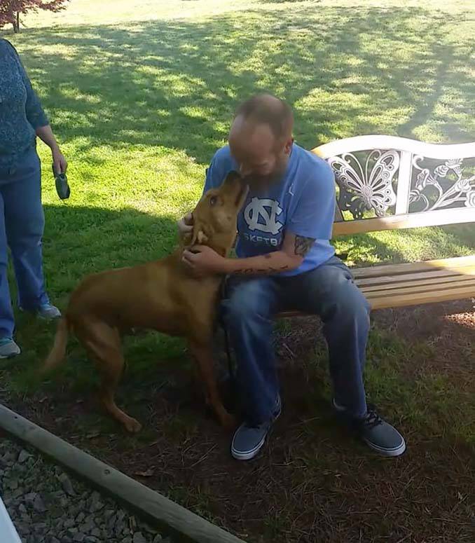 Όταν αυτός ο άνδρας έχασε 22 κιλά, ο σκύλος του δεν τον αναγνώρισε (4)