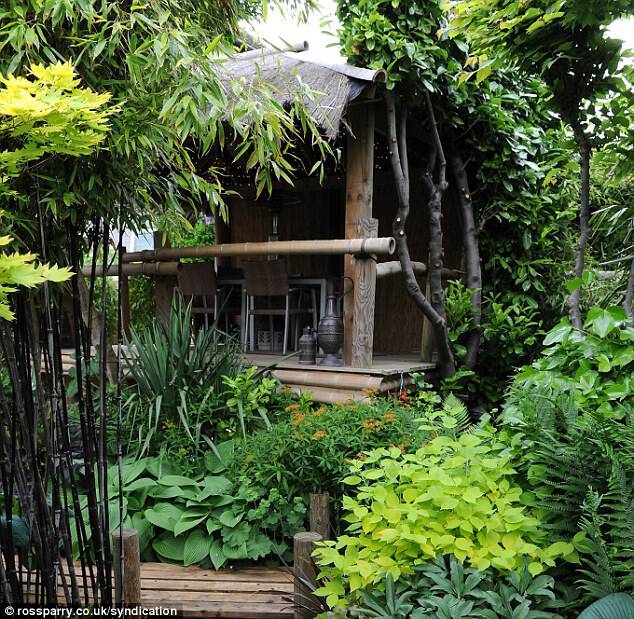The tropical garden even has a wooden hut in the middle of it where Mr Wilson can entertain his guests