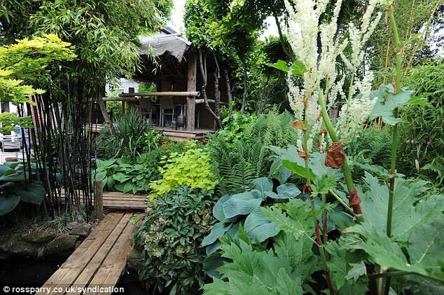 Secret garden: Nick Wilson, 57, has created this stunning jungle garden at his home in Leeds, Yorkshire
