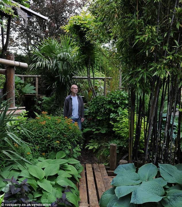 Where the wild things are: The tropical garden is filled with banana trees, bamboo plants and palm trees