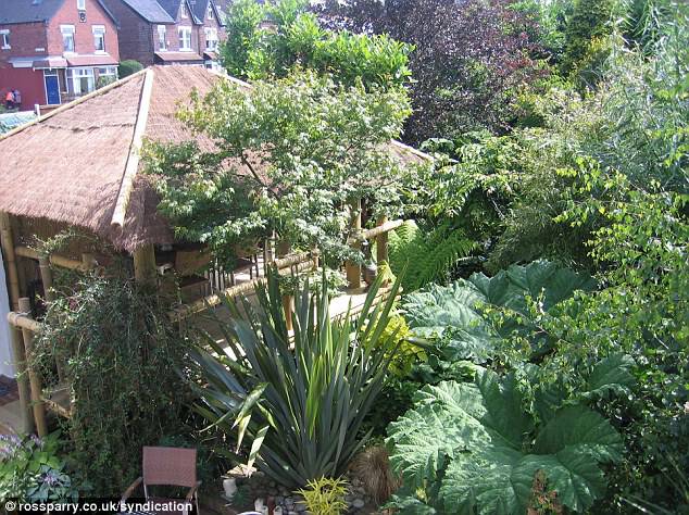 Towering over the jungle: Nick Wilson's outdoor hut has views across his garden