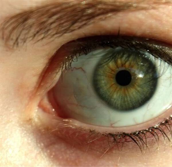Το ήξερες ;;; Γιατί οι άνθρωποι έχουν καστανοπράσινα μάτια και τι σημαίνει;