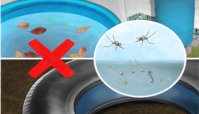 Δεν πάει ο νους σας… Το απόλυτο κόλπο για να μη σας τσιμπάνε τα κουνούπια