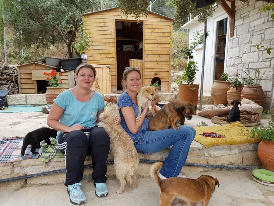 Takis dog shelter